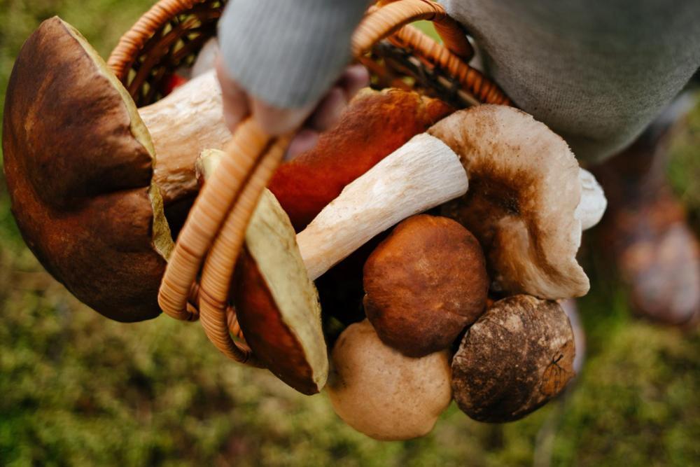 Ruzova Chalupa Pod Klinovcem Loučná pod Klínovcem Extérieur photo